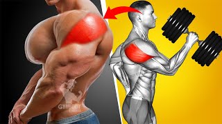 6 Best Rear Delts Exercises Naturally [upl. by Braden]