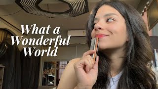 What a Wonderful World  Harmonica Tab  Amanda Ventura [upl. by Nylekoorb185]