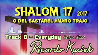 Ricardo Kwiek 2017  Track 8 Everyday [upl. by Palua576]