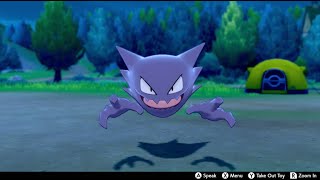 Haunter In Camp  Pokemon Sword amp Shield [upl. by Allecsirp826]