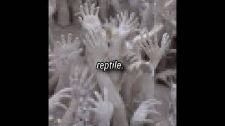 nine inch nails  reptile slowed  reverb [upl. by Scarito835]