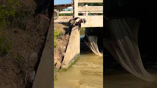 Village Man Using Scoop Net on Stream Water Ep09 Nimitt Fishing video short fishing outdoors [upl. by Bergen]