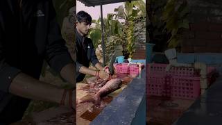 fish cutting skills alivefishcutting fish fishingmeat [upl. by Odlanyar]