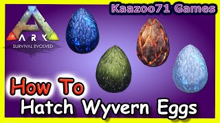 How to Hatch Wyvern Eggs in Ark💥 [upl. by Rokach]