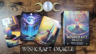 Wishcraft Oracle  Unboxing and Flip Through [upl. by Reffinnej6]