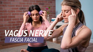 Fascia Facial Massage for Relaxation [upl. by Yelkcub380]