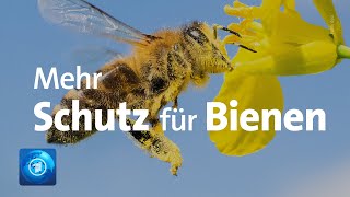 Vereinte Nationen dringen auf mehr Schutz für Bienen [upl. by Kceb]