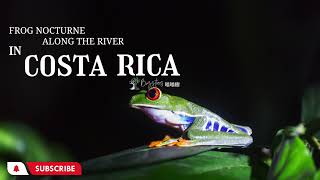 costa rica frog nocturne along the river [upl. by Rehpatsirhc595]