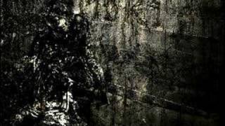 Blut aus Nord  MoRT Chapter VIII [upl. by Gilges251]