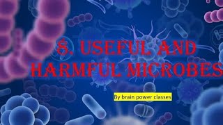 Chapter 8 Useful and Harmful Microbes  Class 9th Question answer Science [upl. by Chatwin]