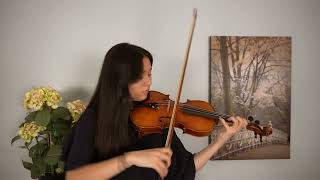 David Yale Guarneri Violin Demo — Tchaikovsky Violin Concerto [upl. by Nodle384]