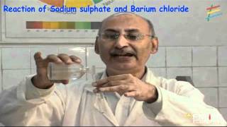 Reaction of Sodium sulphate and Barium chloride [upl. by Lamok]