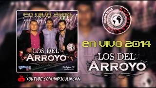 Los Del Arroyo  Kikil Car0 En Vivo 2014 [upl. by Ettereve]