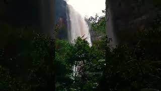 Talakona waterfalls Tirupati Andhra pradesh kvpgworld trending waterfall talakona [upl. by Sally279]