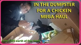 We Liberated a MEGA HAUL of CHICKEN Dumpster Diving at ALDI [upl. by Kimitri]