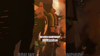 Chris Jericho entrance at AEW WrestleDream 2024 [upl. by Arratoon]