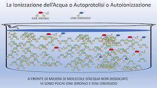 Autoprotolisi o ionizzazione dellacqua [upl. by Enilamme]