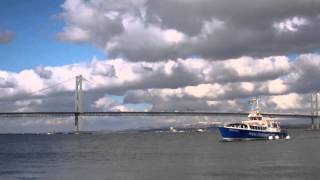 April Cruise Boat Firth Of Forth South Queensferry Scotland [upl. by Sudbury669]