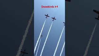 Snowbirds 🇨🇦 snowbirds aerogatineau jets airshow [upl. by Enreval]