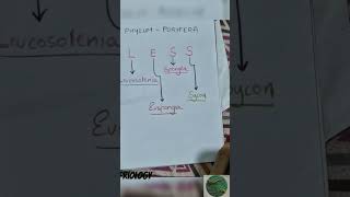 Trick to learn examples of porifera biologybook neetbiology neet biologytextbook planttaxonomy [upl. by Dolly]