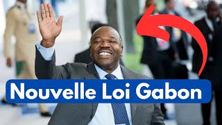 Gabon  Dispute autour de la Constitution  Un Sénateur Soppose à Oligui Nguema [upl. by Parrie529]