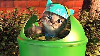 Little Kitten Preschool  My Favorite Cat  Videos For Kids [upl. by Baalman]