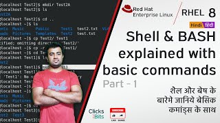 2  Redhat Enterprise Linux RHEL 8 Shell  BASH Explained with Basic CommandsPart1 Hindi [upl. by Noicpesnoc895]