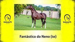 Fantástico do Neno [upl. by Najar]