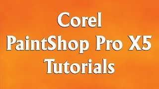 How to Install PaintShop Pro X5 [upl. by Hayward144]