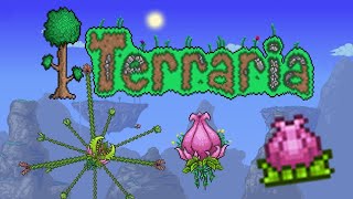 Победа босса Плантера в Terraria Полное видео [upl. by Mages]