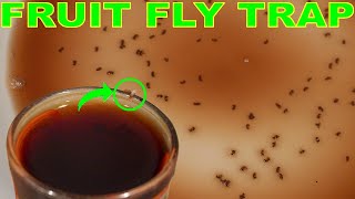 This Genius Trap Will Stop FRUIT FLIES In Your House Overnight [upl. by Eibrab]