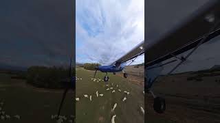 SAVANNAH S ULTRALIGHT THOUCH AND GO WRONG ONE SILIQUA AIRFIELD [upl. by Aonehc]