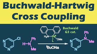 バックワルド・ハートウィグ クロスカップリング BuchwaldHartwig Cross Couplingの反応機構【カップリング反応】 [upl. by Attenaj716]