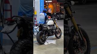 Triumph scrambler 1200 xe📌 [upl. by Kyd736]