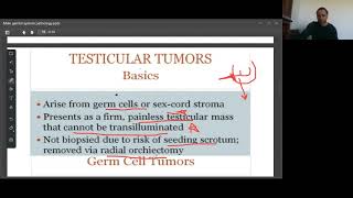 Testicular tumors amp its classification Pathoma In UrduHindi [upl. by Honan564]