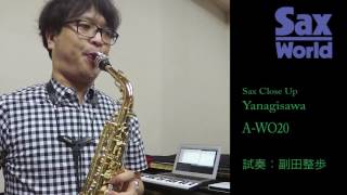 Yanagisawa A WO20試奏動画 [upl. by Knoll]