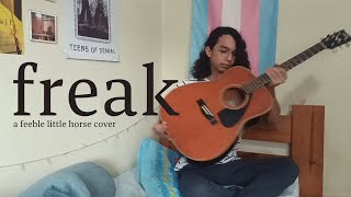 im not calling you a freak thats just the name of the song feeble little horse cover [upl. by Aserret506]