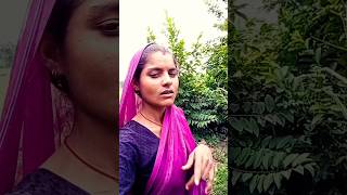 Tut gael dilva itna satavan gana bhojpuri song music newsong sadsong वायरलsong dance [upl. by Nnyleuqcaj]