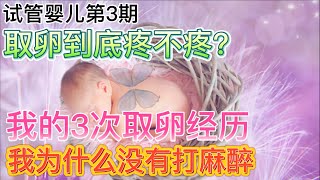 试管婴儿第3期用我的三次取卵经验来告诉你取卵到底疼不疼，我为什么没有打麻醉？ [upl. by Ojoj320]