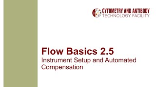 Flow Basics 25 Instrument Setup and Automated Compensation [upl. by Dalenna]