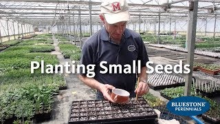 Planting Small Seeds Spring 2018 [upl. by Nileuqcaj834]