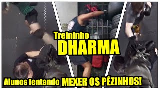 Treininho DHARMA Movimentação intuitiva [upl. by Iohk]