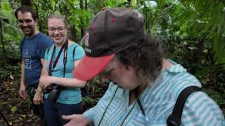 AMAZON SACHA LODGE EQUADOR PART 2 [upl. by Okun971]