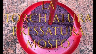 LA TORCHIATURA del Mosto  Spremitura Uva Svinatura  Vinacce  Fare il Vino [upl. by Aihsiek]