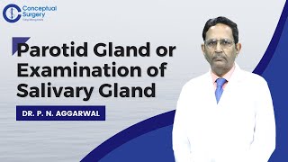 Parotid Gland or Examination of Salivary Gland by Dr P N Aggarwal [upl. by Liebowitz527]