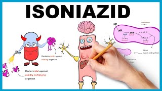 Isoniazid Mechanism of Action Uses Dose side effects [upl. by Dirtsa]