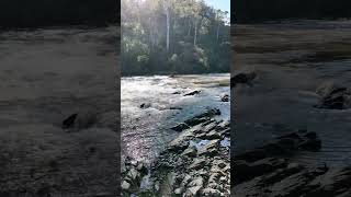 Warrandyte State Park  VIC Australia park lake river camping hike asmr relax outback [upl. by Aicital280]