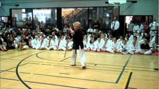 Sensei Devorah Dometrich  Bo Kata Demo  Tsuruoka Nationals Torontowmv [upl. by Aicenod]