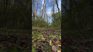 … a ‘ paisley ‘ hike through Autumn… YouTubeHowe Rd Foot TrailsCVNP🍂🌲 [upl. by Messab]