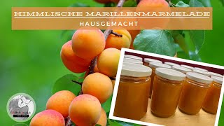 Marillenmarmelade selber machen [upl. by Odravde801]